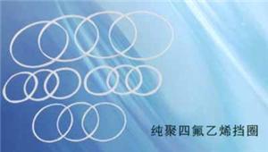 純聚四氟乙烯擋圈